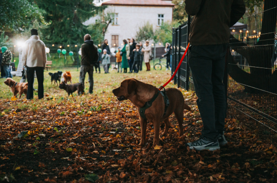 Čiekurkalnā atklāts jauns laukums četrkājainajiem draugiem.