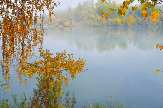 Rudens laiks.
