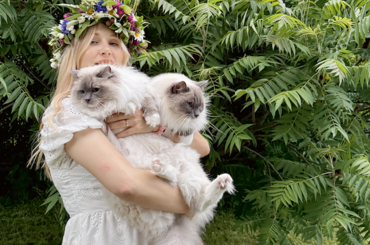 Alīna vēlējās baltu kaķīti ar zilām acīm, un tā nu nonāca līdz regdollu šķirnes kaķiem. Alīna vēlējās baltu kaķīti ar zilām acīm, un tā nu nonāca līdz regdollu šķirnes kaķiem.