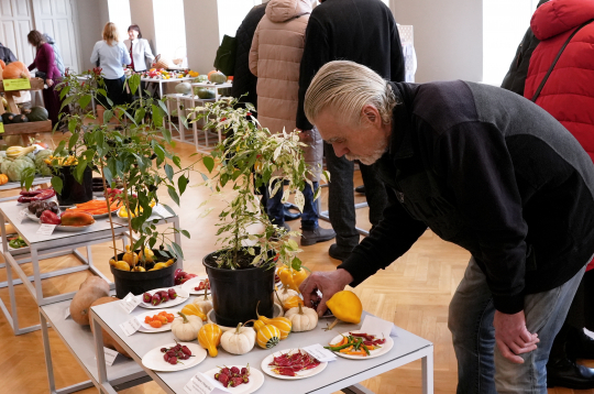 Izstāde "Ķirbjaugi un paprika 2025" Latvijas Nacionālajā dabas muzejā.