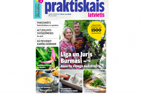 Jaunā žurnāla vāks. Jaunā žurnāla vāks.