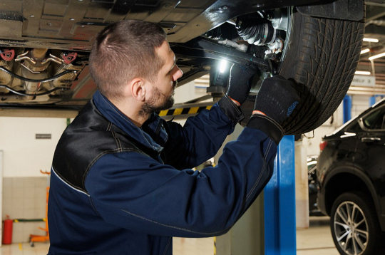 Visbiežāk kompetences novērtējumu kārto ēdināšanas un pārtikas ražošanas nozarēs, taču sertifikāti tiek izsniegti arī tūrisma pakalpojumu konsultanta, loģistikas darbinieka, mēbeļu galdnieka un automehāniķa profesijā.