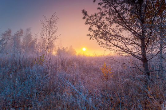 Burvīgs novembra rīts. Burvīgs novembra rīts.