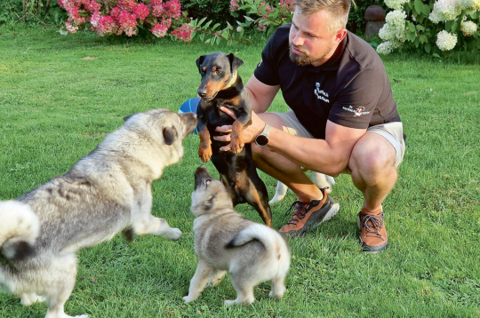 Viesturs Arklons un viņa suņi. Viesturs Arklons un viņa suņi.