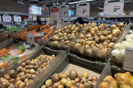 Gan "Rimi" gan "Maxima" šoruden pieejama plaša vietējo zemnieku audzēto dārzeņu izvēle – šie abi tīkli sadarbojas ar desmitiem un pat simtiem dārzeņu audzētāju. Gan "Rimi" gan "Maxima" šoruden pieejama plaša vietējo zemnieku audzēto dārzeņu izvēle – šie abi tīkli sadarbojas ar desmitiem un pat simtiem dārzeņu audzētāju.