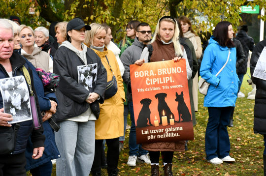 Piketētāji pieprasa Bauskas domnieku rīcību Brunavas pagastā nošauto suņu lietā. Piketētāji pieprasa Bauskas domnieku rīcību Brunavas pagastā nošauto suņu lietā.