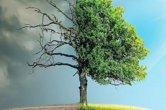 Pasaule jau šobrīd ir sasilusi par 1,3 grādiem, salīdzinot ar industriālās ēras sākumu, un iespējas apstāties pie pusotra grāda robežas, kā to paredz 2015. gada Parīzes līgums, ir samērā niecīgas. Lai to panāktu, 2035. gadā oglekļa emisijas būtu jāsamazina nevis par 10%, salīdzinot ar 2019. gadu, bet gan par 60%. Pasaule jau šobrīd ir sasilusi par 1,3 grādiem, salīdzinot ar industriālās ēras sākumu, un iespējas apstāties pie pusotra grāda robežas, kā to paredz 2015. gada Parīzes līgums, ir samērā niecīgas. Lai to panāktu, 2035. gadā oglekļa emisijas būtu jāsamazina nevis par 10%, salīdzinot ar 2019. gadu, bet gan par 60%.