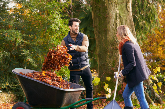Plānojot lapu grābšanu, jāseko līdzi laika apstākļu prognozēm. Plānojot lapu grābšanu, jāseko līdzi laika apstākļu prognozēm.