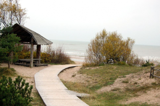 Pāvilostas pelēkā kāpa. Pāvilostas pelēkā kāpa.