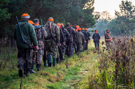 Sākusies dzinējmedību sezona...