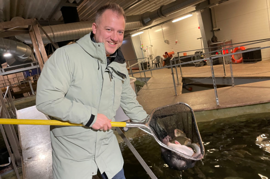 “Vēl kāds mēnesis jāpaaugas,” Lauris Apsis izvērtē Arktikas paliju svaru. Zivij jāsasniedz 1,5 kg, kad to pārved uz atpeldināšanas
baseinu, un pēc divām nedēļām aizceļo pie patērētājiem.