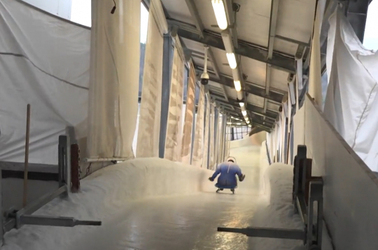 Starptautiskajā sporta apritē šonedēļ atgriežas Krievijas kamaniņu braucēji, kuri Kortīnas ledus trasē startēs kā tā dēvētie neitrālie sportisti. Starptautiskajā sporta apritē šonedēļ atgriežas Krievijas kamaniņu braucēji, kuri Kortīnas ledus trasē startēs kā tā dēvētie neitrālie sportisti.