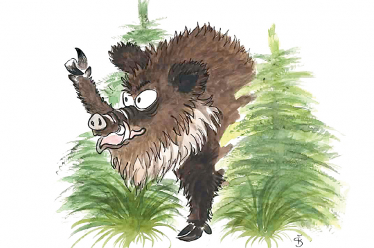 Pēkšņi no biezokņa pavisam blakus man parādījās liela galva… Sirma, masīva, acis kā pogas, deguns tvaikoja. Tas bija kuilis, kam pat lācis dotu ceļu!