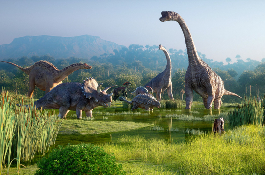 Dinozauri. Dinozauri.