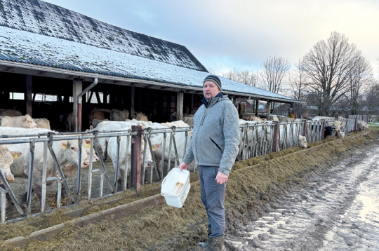 Kursīšu pagasta zemnieku saimniecības "Brūzilas AV" saimnieks Vilnis Štencelis un viņa dzīvesbiedre Agnese Arne–Štencele gaļas liellopu nozari ar diviem liellopiem sāka attīstīt 2015. gadā, dibinot SIA "Airene", kuras patiesā labuma guvēja ir Agnese. Vilnis uzsver, ka aizvadītajos gados abu – piena un gaļas lopu – saimniecību darbība ir cieši savijusies, tāpēc labākai atpazīstamībai reģistrēts zīmols "Brūzilu liellops". "Esmu uzkrājis zināmu pieredzi un labprāt ar to dalos. Ja kādam izdosies labāk nekā man, mācīšos. Vien tā varam attīstīties," teic saimnieks. Kursīšu pagasta zemnieku saimniecības "Brūzilas AV" saimnieks Vilnis Štencelis un viņa dzīvesbiedre Agnese Arne–Štencele gaļas liellopu nozari ar diviem liellopiem sāka attīstīt 2015. gadā, dibinot SIA "Airene", kuras patiesā labuma guvēja ir Agnese. Vilnis uzsver, ka aizvadītajos gados abu – piena un gaļas lopu – saimniecību darbība ir cieši savijusies, tāpēc labākai atpazīstamībai reģistrēts zīmols "Brūzilu liellops". "Esmu uzkrājis zināmu pieredzi un labprāt ar to dalos. Ja kādam izdosies labāk nekā man, mācīšos. Vien tā varam attīstīties," teic saimnieks.