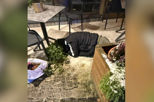 Aizmigušais vīrietis. Aizmigušais vīrietis.