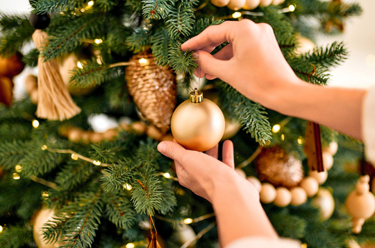 Ziemassvētku laiks. Ziemassvētku laiks.