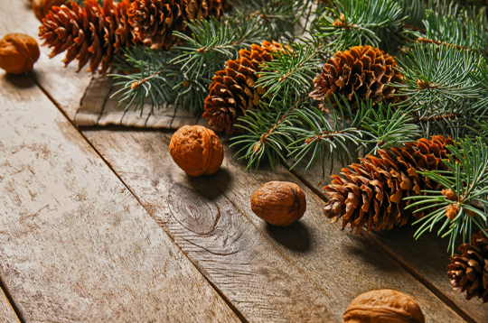 Ilustratīvs attēls. Ilustratīvs attēls.