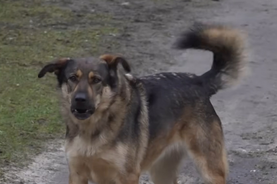 Ekrānuzņēmums no 4. studijas sižeta.