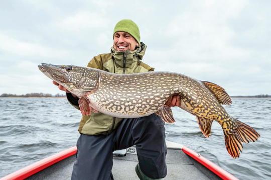 Var noķert lielu līdaku, bet rekordu sarakstā tā parādīsies tikai tad, kad informācija par to nonāks līdz sabiedrībai. Ilustratīvs attēls. Var noķert lielu līdaku, bet rekordu sarakstā tā parādīsies tikai tad, kad informācija par to nonāks līdz sabiedrībai. Ilustratīvs attēls.