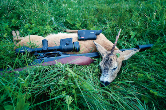 Buks nomedīts jūlija otrajā pusē Pulsar Oryx (Ieskaties.lv) testa medībās.