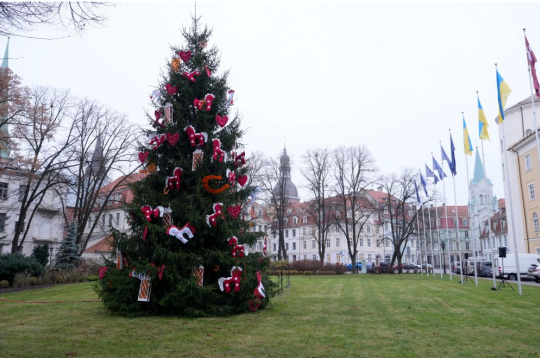 Svētku egle laukumā pie Rīgas pils.
