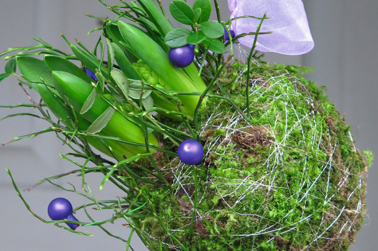 Sūnu bumba. Sūnu bumba.