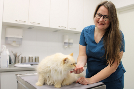 Kaķim Mincim ir 11 gadi. Saimniece divu gadu laikā vairākkārt vērsusies ar nelielām, akūtām veselības problēmām, kas veiksmīgi atrisinātas, bet kopumā kaķis vesels, labām asins analīzēm, omulīgs un rotaļīgs – atzīst veterinārārste Māra Vasiļevska.