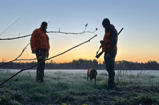 Pēc izsniegtajām sezonas kartēm var secināt, ka aktīvo mednieku skaitam Latvijā ir tendence samazināties.
