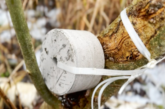 Laizāmā sāls pieejamība ir populācijas veselības uzturēšanas pamata sastāvdaļa.