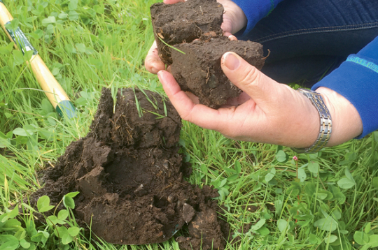 Tāds izskatās auglīgas augsnes profils.
