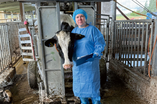 Ilga Šematoviča: "Embriju transference ir iespēja ātrā laikā izveidot tādu ganāmpulku, kādu saimnieks iecerējis, tomēr – lai tas izdotos veiksmīgi, īpaši piena lopkopības saimniecībās, būtisks ir govs olšūnu kvalitātes līmenis."