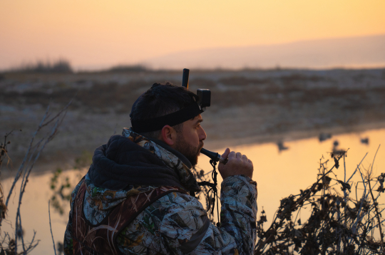 Latvijā ir atļauts pievilināt ūdensputnus, izmantojot putnu mulāžas un svilpes.