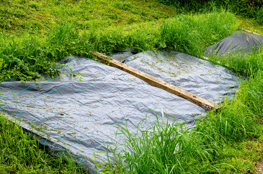 Labs nezāļu iznīcināšanas paņēmiens ir noklāt augsni ar agrotekstilu.