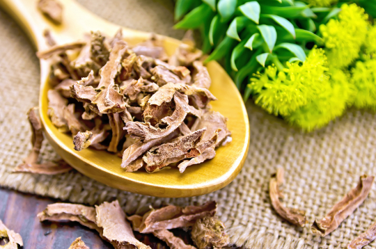 Rožainā rodiola. Rožainā rodiola.