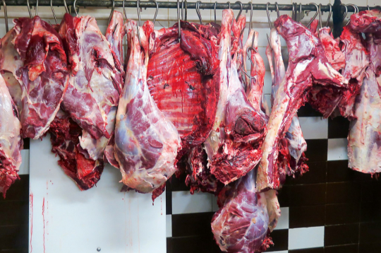 Gaļa. Ilustratīvs attēls.