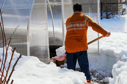 Ja siltumnīca ziemā ir tukša un tajā nekas nepārziemo, sniega nešana iekšā drīzāk ir fiziska nodarbe.