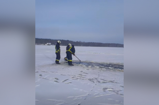 Ekrānuzņēmums no glābšanas darbu video.