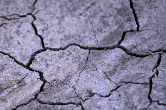 Sausa, saplaisājusi zeme.
