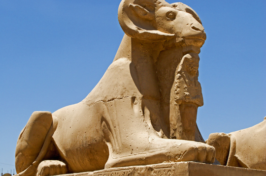 Ēģiptes auns no Karnakas tempļa (Luksora). Ēģiptes auns no Karnakas tempļa (Luksora).