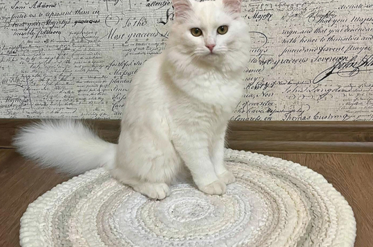 Tamborēts paklājiņš.