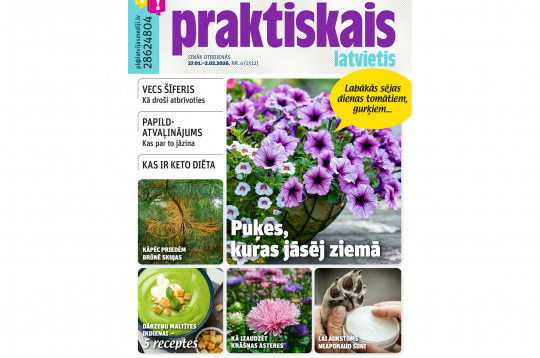 Jaunā žurnāla vāks.