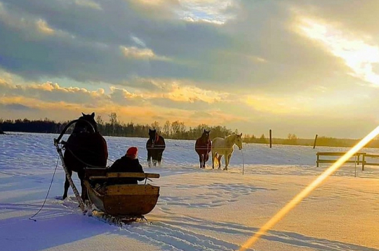 Šoziem var izbaudīt reti iespējamu izklaidi – braucienu zirgu vilktās kamanās.