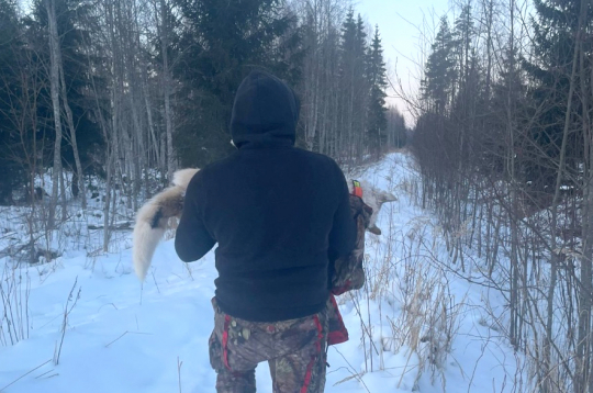 Bojāgājušo suni no meža iznes uz rokām. Bojāgājušo suni no meža iznes uz rokām.