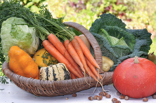 Dārzeņi. Ilustratīvs attēls. Dārzeņi. Ilustratīvs attēls.