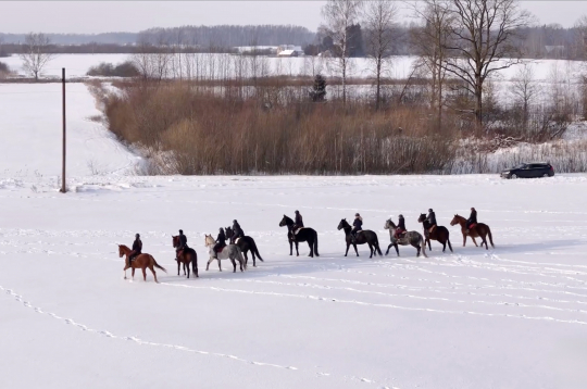 Ziemas fotosesija ar zirgiem.