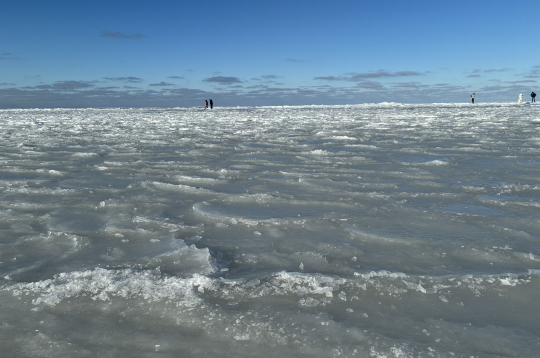 Aizsalusi jūra. Vecāķi.