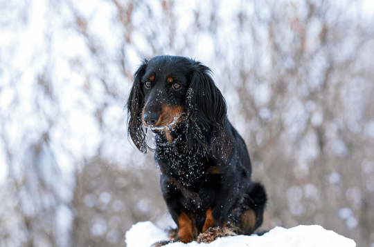 Ilustratīvs attēls.