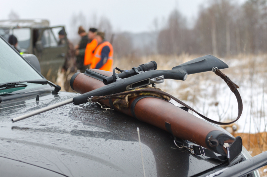 Medības. Ilustratīvs foto.