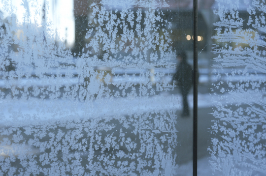 Sniega pārslas uz stikla. Sniega pārslas uz stikla.